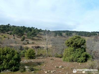 Fortines y Trincheras: Río Cofio; hoces del duraton san mames la pedriza viajes singles